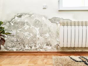 ¿Cómo detectar la humedad en las paredes?