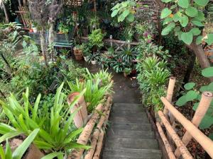 La importancia de los jardines para el bienestar...